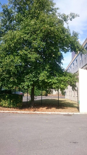 Exterior & Views, Hotel et Résidence Esbly, Seine-et-Marne
