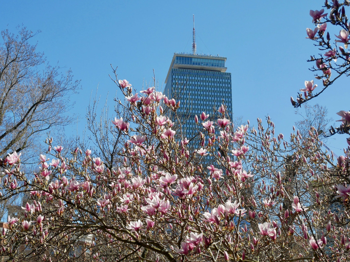 Exterior & Views 2, Elegant Two Bedroom Suite, Boston