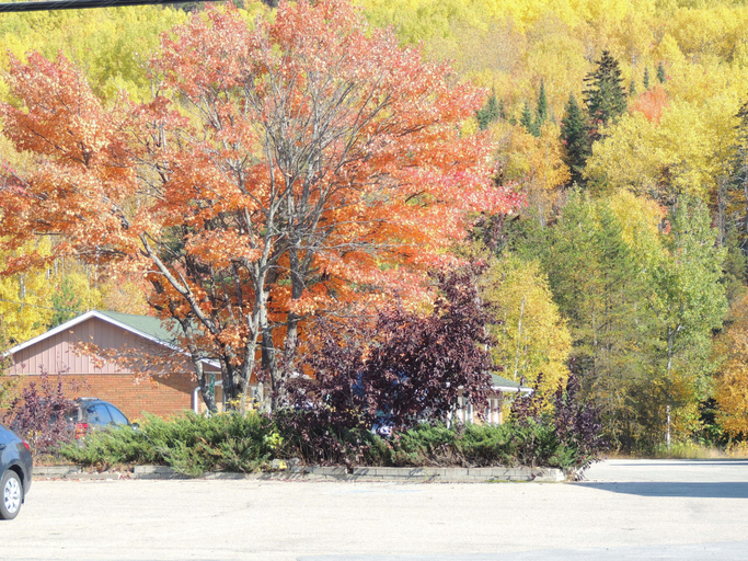 Exterior & Views 2, Hotel Marineau La Tuque, Le Haut-Saint-Maurice