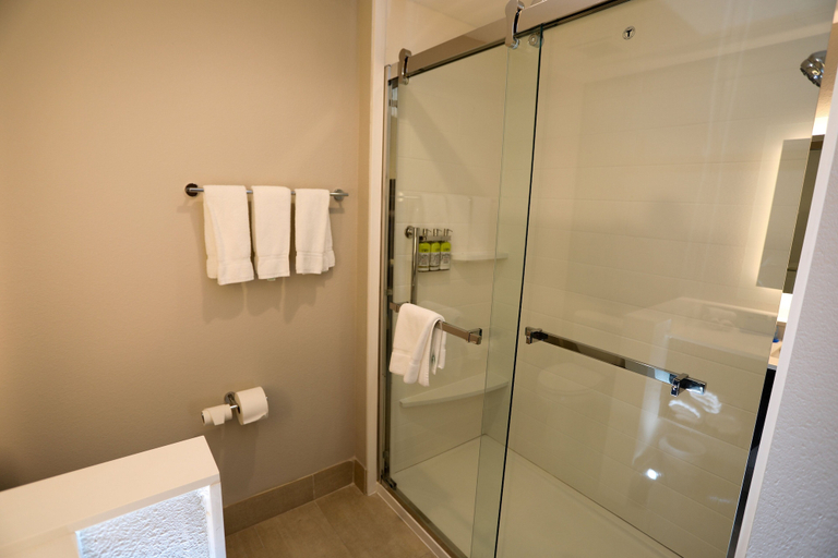 Bathroom 5, Holiday Inn Express & Suites FORNEY by IHG, Kaufman