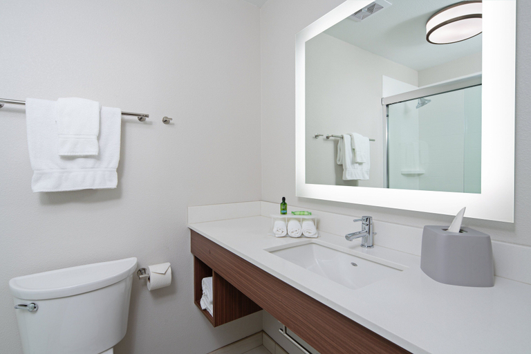 Bathroom 3, Holiday Inn Express Hotel & Suites SeaTac by IHG, SeaTac