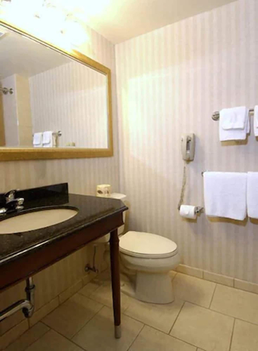 Bathroom 3, Rockville Centre Inn, Nassau