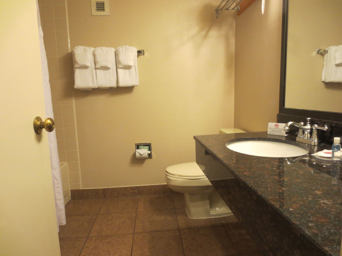 Bathroom 4, Comfort Inn University Center, Fairfax City