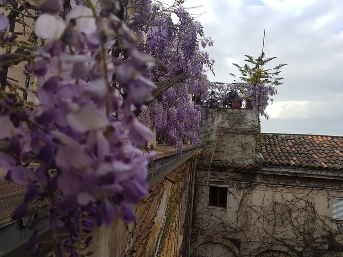 Exterior & Views 2, Hotel Biscari Catania, Catania