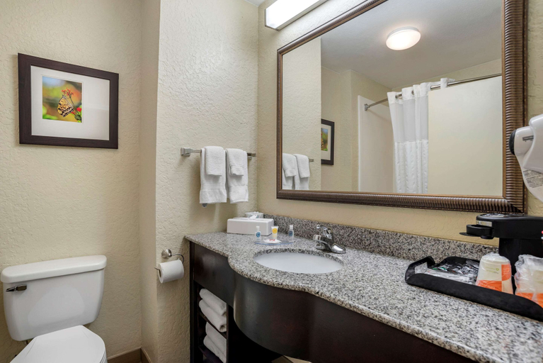 Bathroom 4, Comfort Inn & Suites Marianna I-10, Jackson