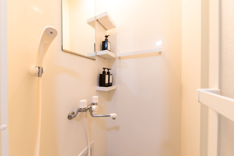 Bathroom 4, Dio, Fujikawaguchiko