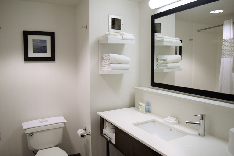 Bathroom 4, Hampton Inn Debary/Deltona, Volusia