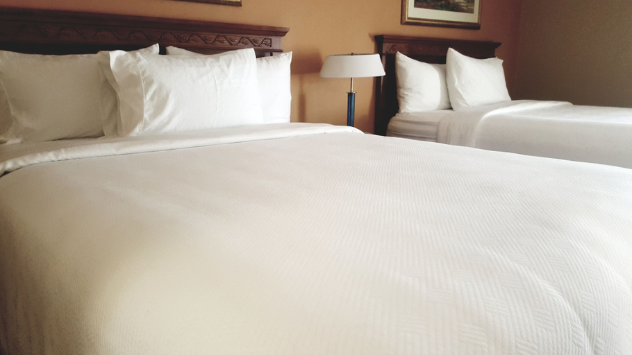 Bedroom 4, Hotel Xola, Riverside