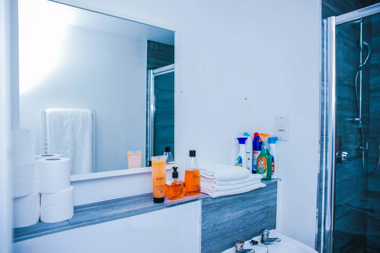 Bathroom 4, Riverside 2 Bed Apartment, London
