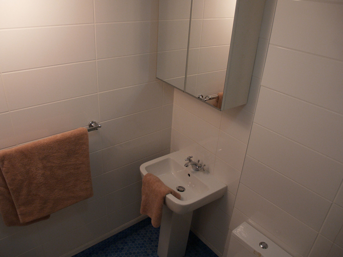 Bathroom 4, Niddry Street Apartments, Edinburgh