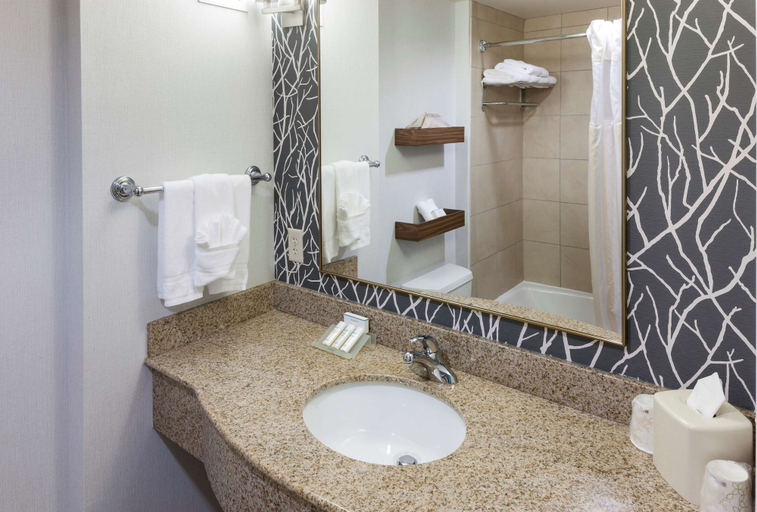 Bathroom 5, Hilton Garden Inn Austin North, Travis