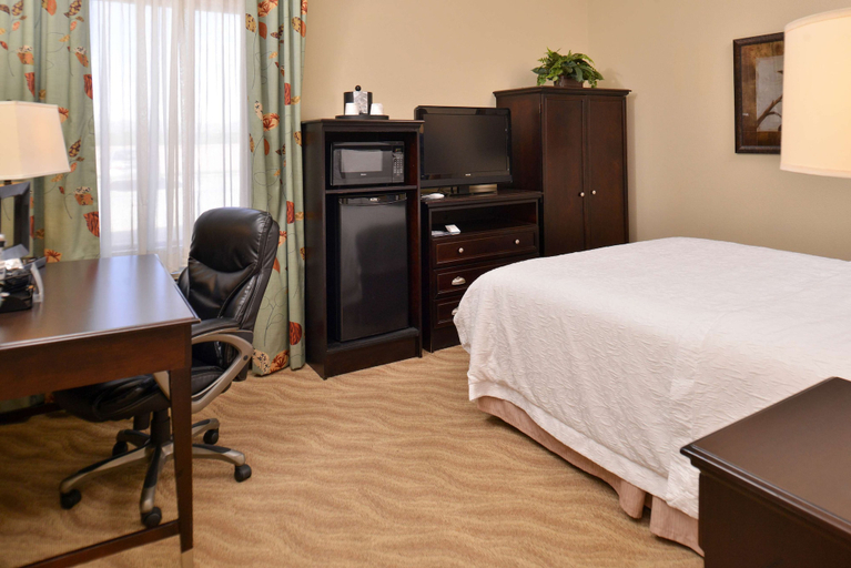 Bedroom 3, Hampton Inn Van Horn, Culberson