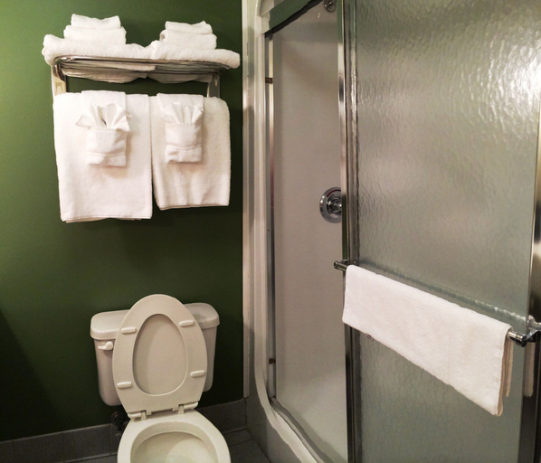 Bathroom 4, Sleep Inn & Suites Danville Hwy 58, Danville