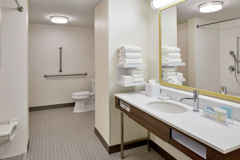 Bathroom 4, Hampton Inn & Suites Atlanta Midtown, Atlanta