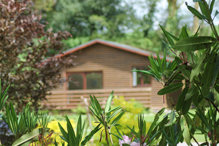 Exterior & Views 2, Ruthern Valley Holidays, Cornwall