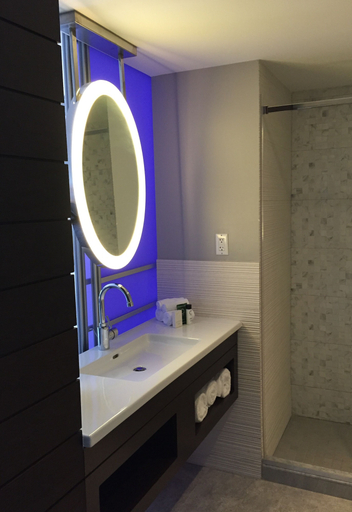 Bathroom 4, Royal Regency Hotel, Westchester