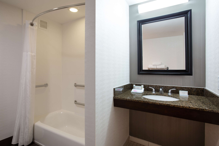 Bathroom 4, Hilton Garden Inn Nashville/Smyrna, Rutherford