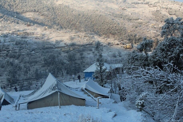 Others 5, Camp Sunkiya, Nainital