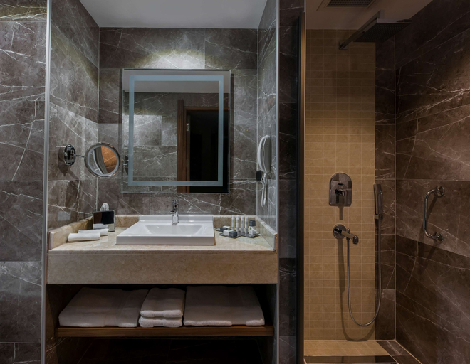 Bathroom 5, DoubleTree By Hilton Elazig, Merkez