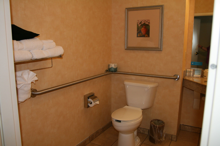 Bathroom 4, Hampton Inn Pine Grove, Schuylkill