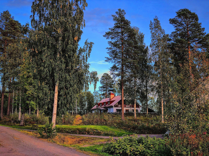 Exterior & Views 2, Vildmarks Lodge, Härjedalen