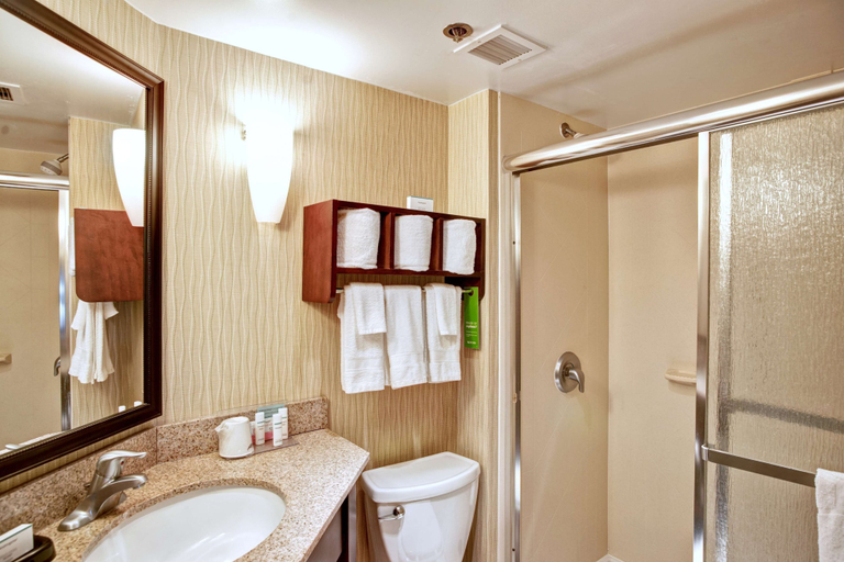 Bathroom 4, Hampton Inn College Station, Brazos