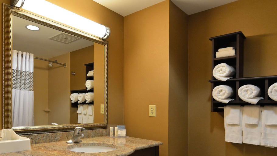 Bathroom 4, Hampton Inn Geneseo, Livingston