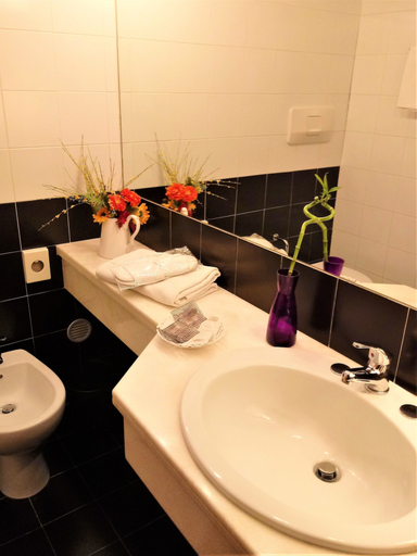 Bathroom 5, Hotel Dozza, Bologna