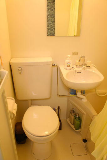 Bathroom, Shirakabanoyado-keigetsu, Osaka