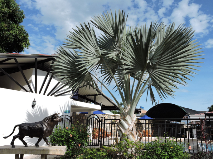 Exterior & Views 2, Hotel Boutique Villa Valeria, Melgar