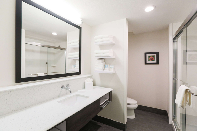 Bathroom 4, Hampton Inn El Reno, Canadian