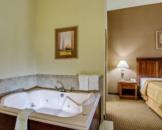 Others 5, Quality Inn Salem - I-81, Salem