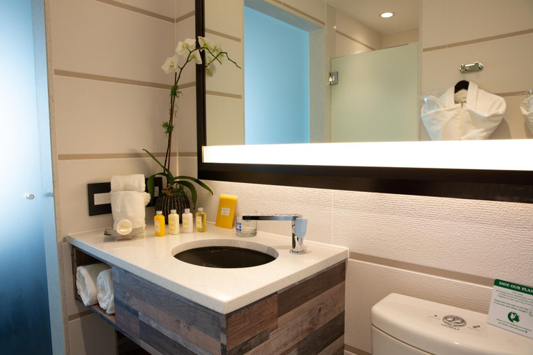 Bathroom 4, Hotel Le Bleu, New York