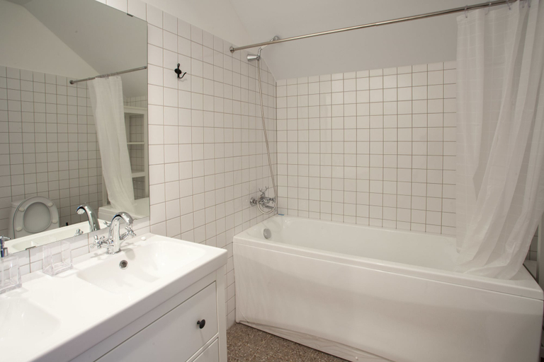 Bathroom 3, Tsarstvo Korolevstvo, Sankt-Peterburg gorsovet