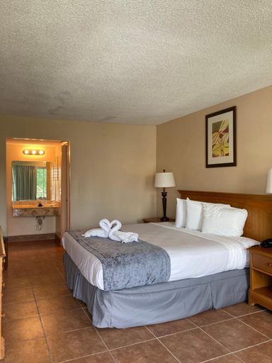 Bedroom 4, Altamonte Springs Hotel and Suites, Seminole