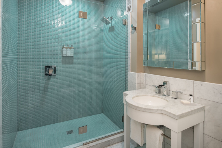 Bathroom 4, Mark Spencer Hotel, Multnomah
