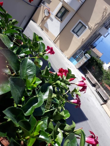 Exterior & Views, Il Centenario, Salerno