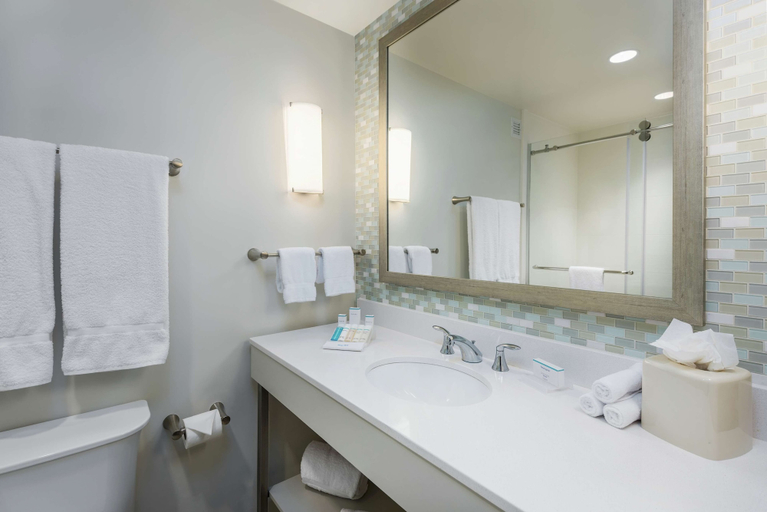 Bathroom 4, Hilton Garden Inn Miami Dolphin Mall, Miami-Dade
