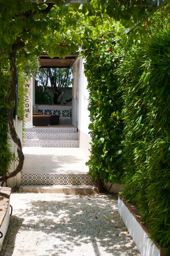 Exterior & Views, Casa Oasis, Málaga