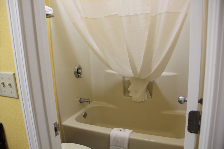 Bathroom 4, Quality Inn Albertville US 431, Marshall