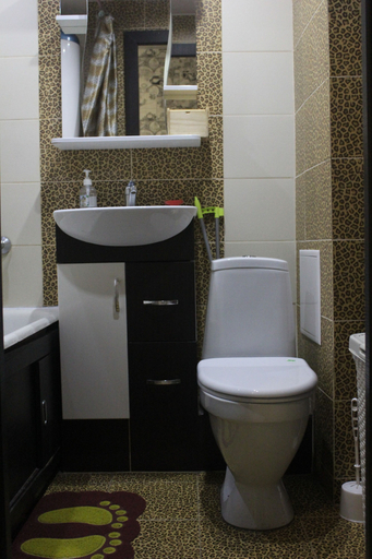 Bathroom 3, Okatovaya St. 10 Vladdom25, Vladivostok gorsovet