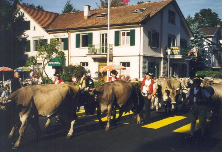 Others 5, Hotel Park, Appenzell Ausserrhoden