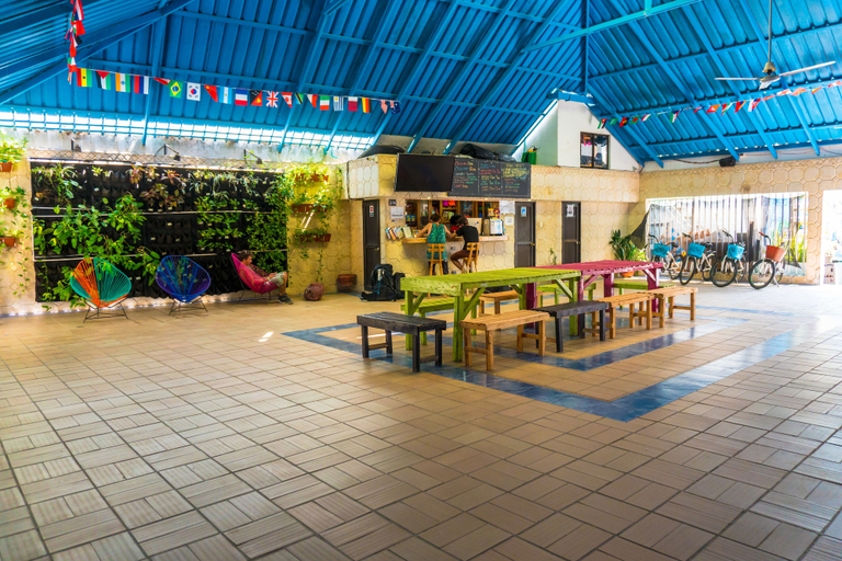 Food & Drinks 5, Wonderland Hostel By GB Collection, Cartagena de Indias
