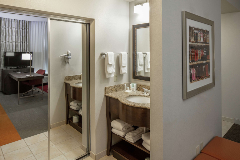 Bathroom 4, Hampton Inn & Suites Austin Cedar Park-Lakeline, Williamson