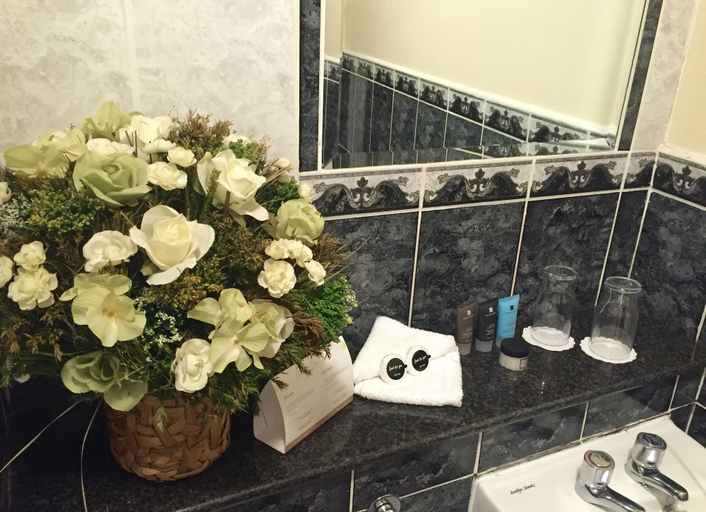 Bathroom 4, Dublin Citi Hotel, Dublin