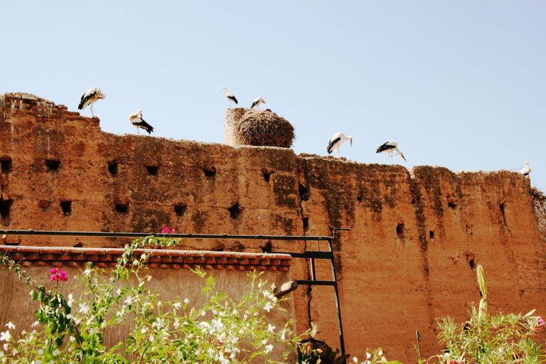 Exterior & Views 2, Hotel Riad Carina, Marrakech