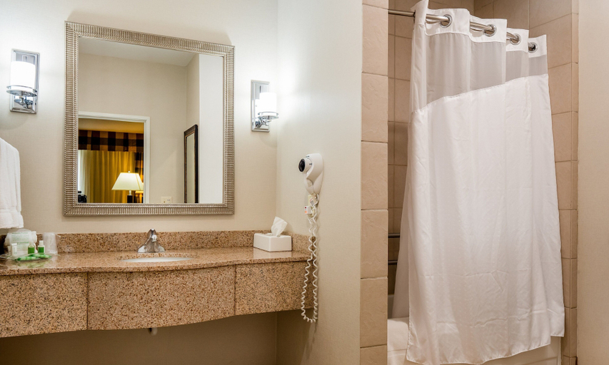 Bathroom 3, Holiday Inn Conference Ctr Marshfield by IHG, Wood