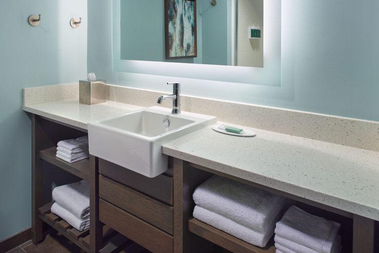 Bathroom 3, SpringHill Suites Pensacola Beach, Escambia