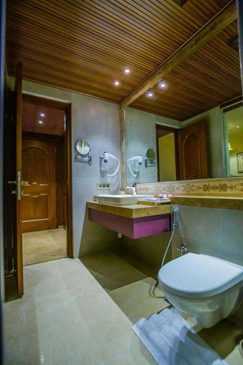 Bathroom 3, Hotel Sai Palace, Mangalore, Dakshina Kannada