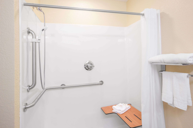 Bathroom 5, Microtel Inn & Suites by Wyndham Albertville, Marshall